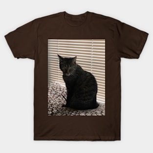 Philip in the Window T-Shirt